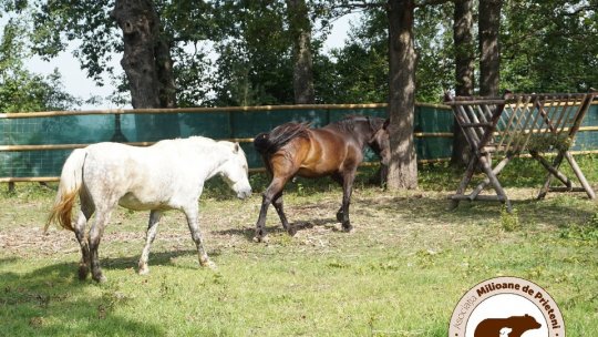 Parcul "Prietenii Planetei", la Sanctuarul Libearty