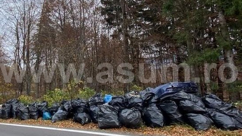 Peste trei tone de deșeuri adunate dintr-o pădure de la Fundata