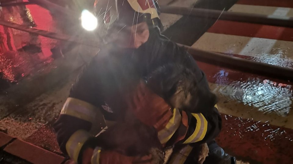 Măsuri preventive pentru sărbătorile de iarnă