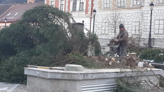 Pomul de Crăciun din centrul orașului Râșnov va fi folosit în scop umanitar