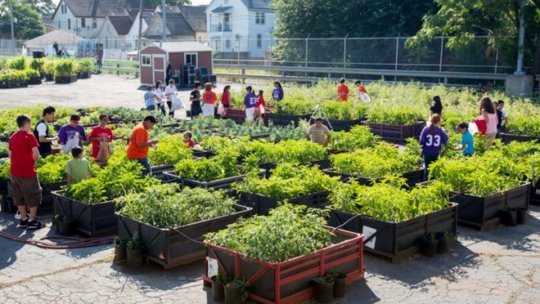 Care sunt proiectele pe care le doresc brașovenii implementate prin procesul de bugetare participativă