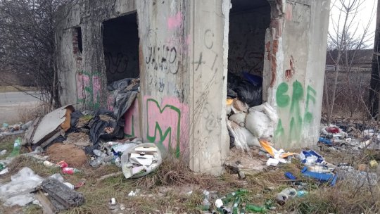 Groapă de gunoi ilegală pe strada Timiș Triaj