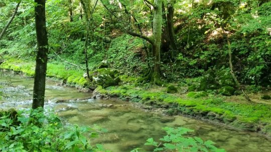 Săptămâna dedicată apei va fi marcată și la Brașov