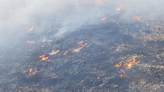 Crește numărul incendiilor de vegetație