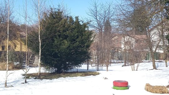 Brașovul pregătește prima grădină urbană cu compost colectiv