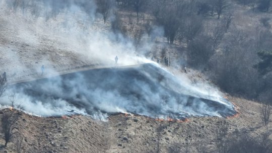 Incendiu de vegetație pe Dealul Lempeș