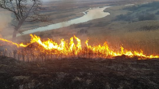 O femeie de 75 de ani a fost găsită decedată după un incendiu de vegetație