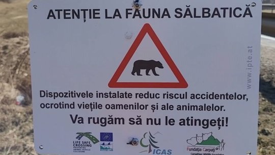 În zona Perșani, se montează garduri virtuale