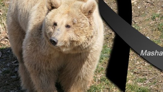 Ursoaica Masha, din Ucraina, a murit, azi, la sanctuarul din Zărnești