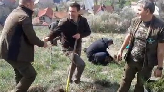 Ministrul Mediului a plantat pini pe Dealul Melcilor
