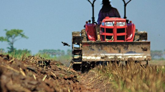 Ajutor de minimis pentru cultivatorii de cartofi