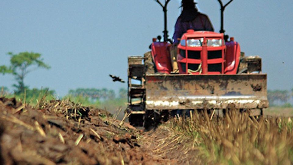 Ajutor de minimis pentru cultivatorii de cartofi