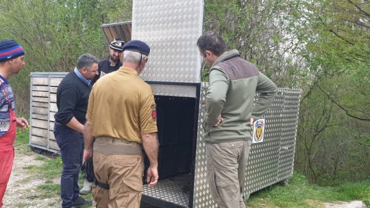 Ursul și vulpea. Varianta poveștii de Râșnov