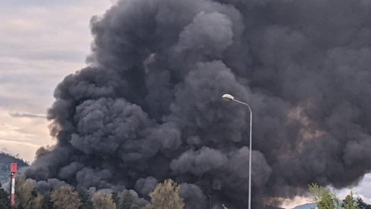 Update & VIDEO. Incendiu de proporții în Bartolomeu