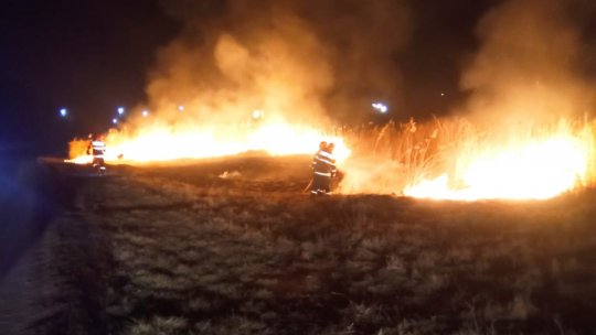 Sancţiuni mai aspre pentru ilegalităţi în gestionarea deşeurilor și în cazul incendierii terenurilor