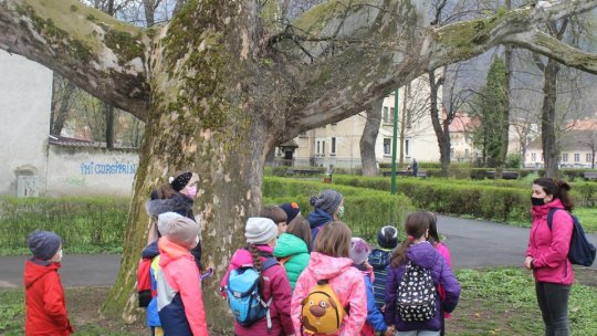 De Paște, "Iepurașul la muzeu"