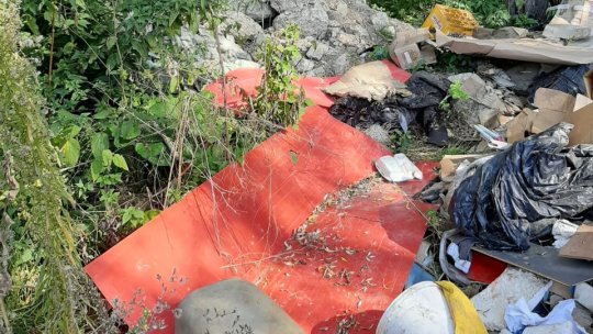 "Vrem o țară fără deșeuri abandonate!" - Campanie de ecologizare, la Brașov