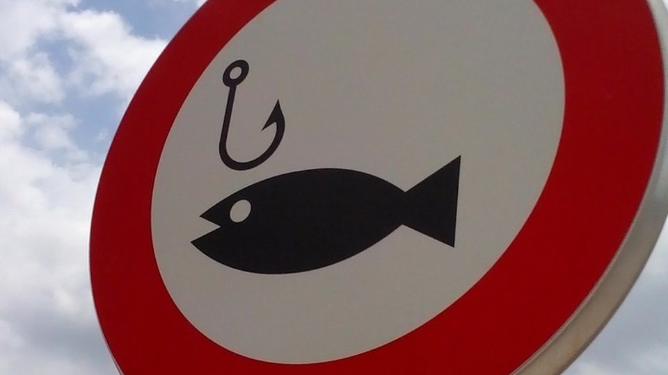 Prohibiţia generală a pescuitului începe sâmbătă, în apele interioare din România