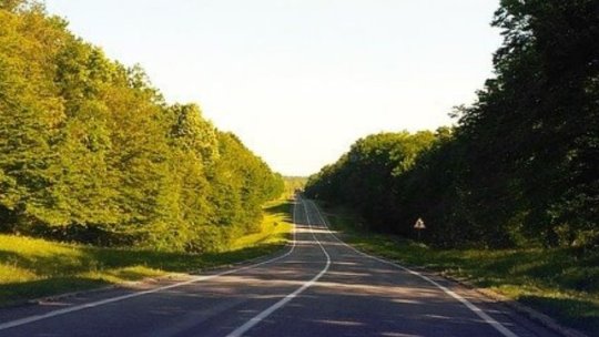 O firmă din Turcia se va ocupa de studiul de fezabilitate privind realizarea unor piste de biciclete şi perdele forestiere, în județ