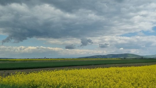 Suprafață agricolă mai mare, cereri de plată mai puține
