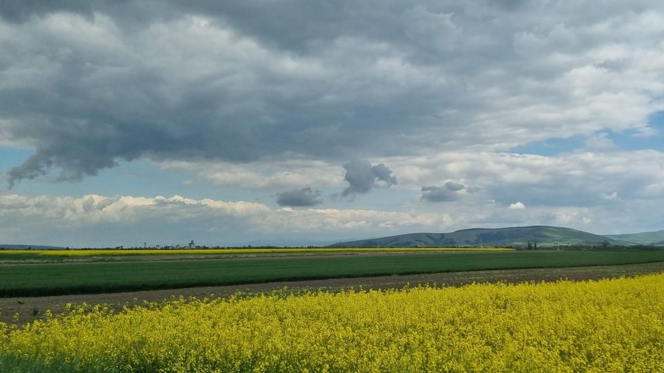 Suprafață agricolă mai mare, cereri de plată mai puține