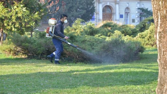 Brașov. A început campania de dezinsecție