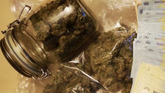 Percheziții la locuințele unor persoane bănuite de trafic de droguri de risc și mare risc