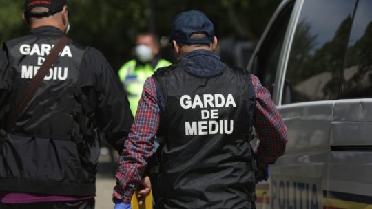 Acțiune a Gărzii de Mediu și a polițiștilor din Brașov. Amenzi de peste 50.000 lei și deșeuri confiscate