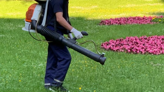 Dezinsecție, la Săcele, în noaptea de joi spre vineri