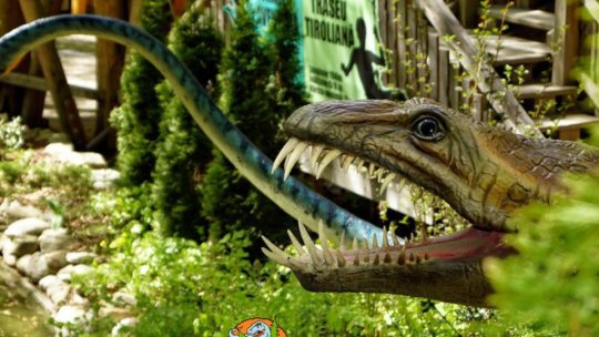 Expoziție științifică unică în țară, la Dino Parc Râșnov