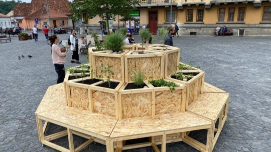 Grădină de plante aromatice, în Piața Unirii