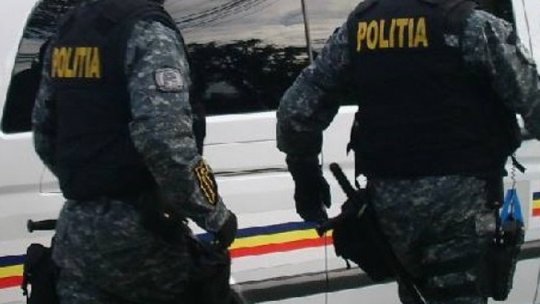 Reținuți pentru operațiuni frauduloase și lupte cu câini