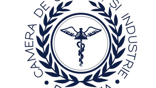 Reprezentanţii Camerei de Comerţ şi Industrie a României susţin reducerea numărului de judeţe ale României