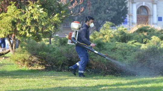 A început cea de a doua campanie de dezinsecție, la Brașov