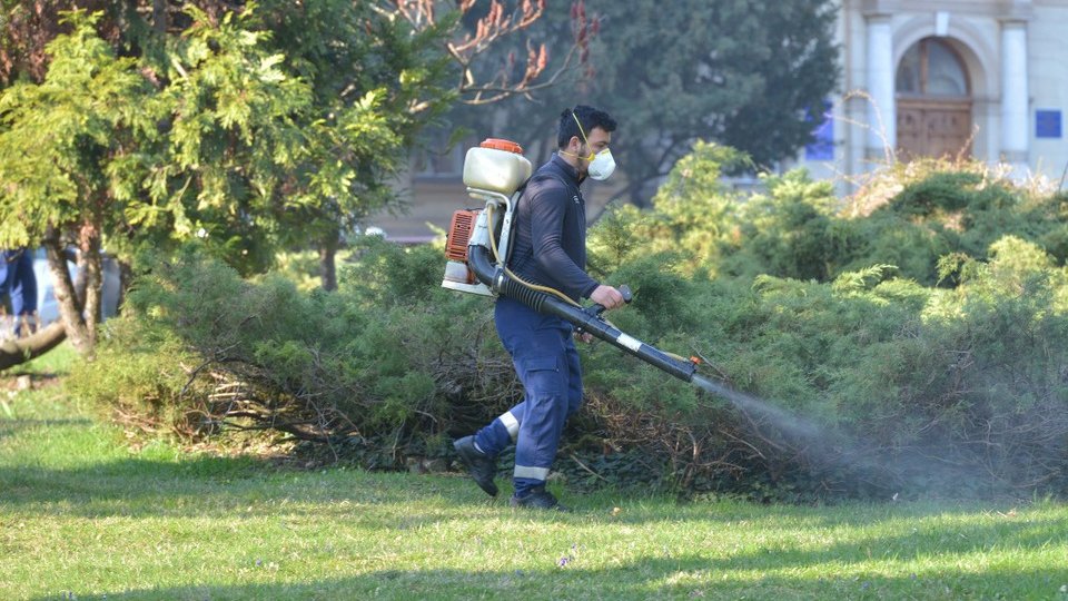A început cea de a doua campanie de dezinsecție, la Brașov