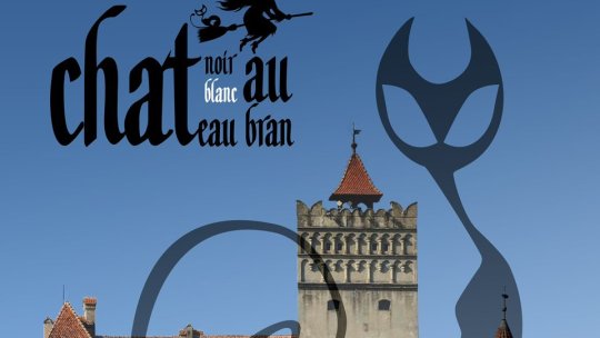 Cele mai frumoase pisici din lume ajung, în weekend, la Bran