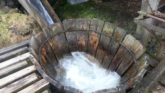 Al 7-lea Tezaur Uman Viu din județul Brașov, Angelica Lungociu, proprietara Vâltorii de la Lisa