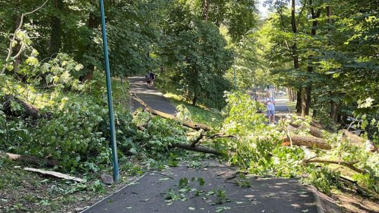La un pas de tragedie!