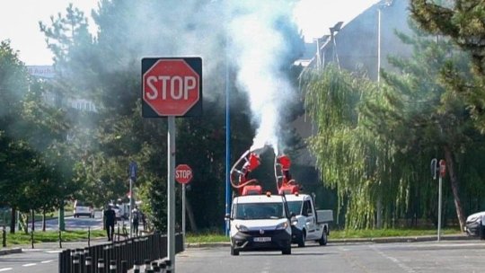 La Brașov, încep dezinsecția și deratizarea
