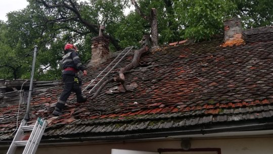 Copac căzut pe un acoperiș și case inundate, în urma ploilor din ultimele ore