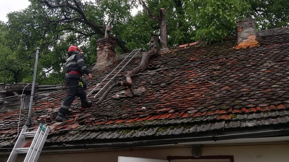 Copac căzut pe un acoperiș și case inundate, în urma ploilor din ultimele ore