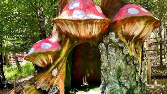 Tărâmul Elfilor din inima stațiunii Poiana Brașov