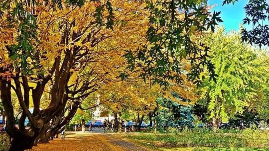 Spații de joacă speciale pentru copiii cu dizabilități, în parcurile din Brașov