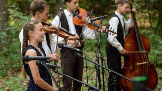 La Brașov, pădurea "va cânta" în Noua