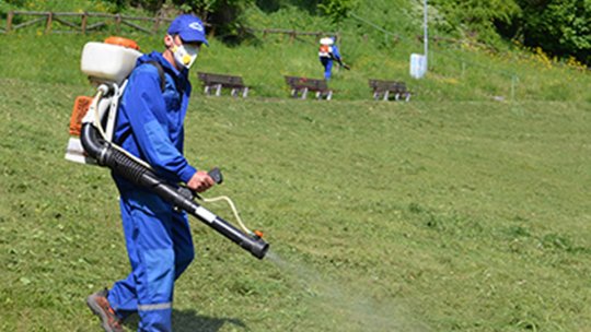 Începe noua campanie de dezinsecție la Brașov