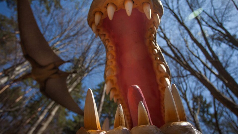 Activități distractive pentru toate vârstele la Dino Parc Râșnov în minivacanța de Sf. Maria