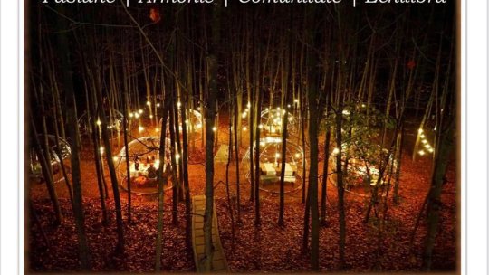 Bibliotecă mobilă în Poiana Brașov