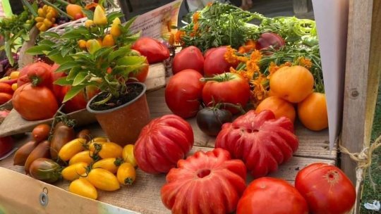 Festivalul tomatelor și al biodiversității, la Biblioteca Județeană