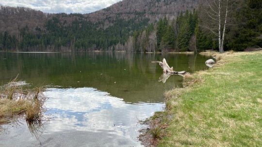 Sancţiuni pentru persoanele care hrănesc urşii aflaţi în zona Lacului Sfânta Ana