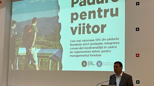 Strategia Națională pentru Păduri 2030, prezentată astăzi, la Brașov